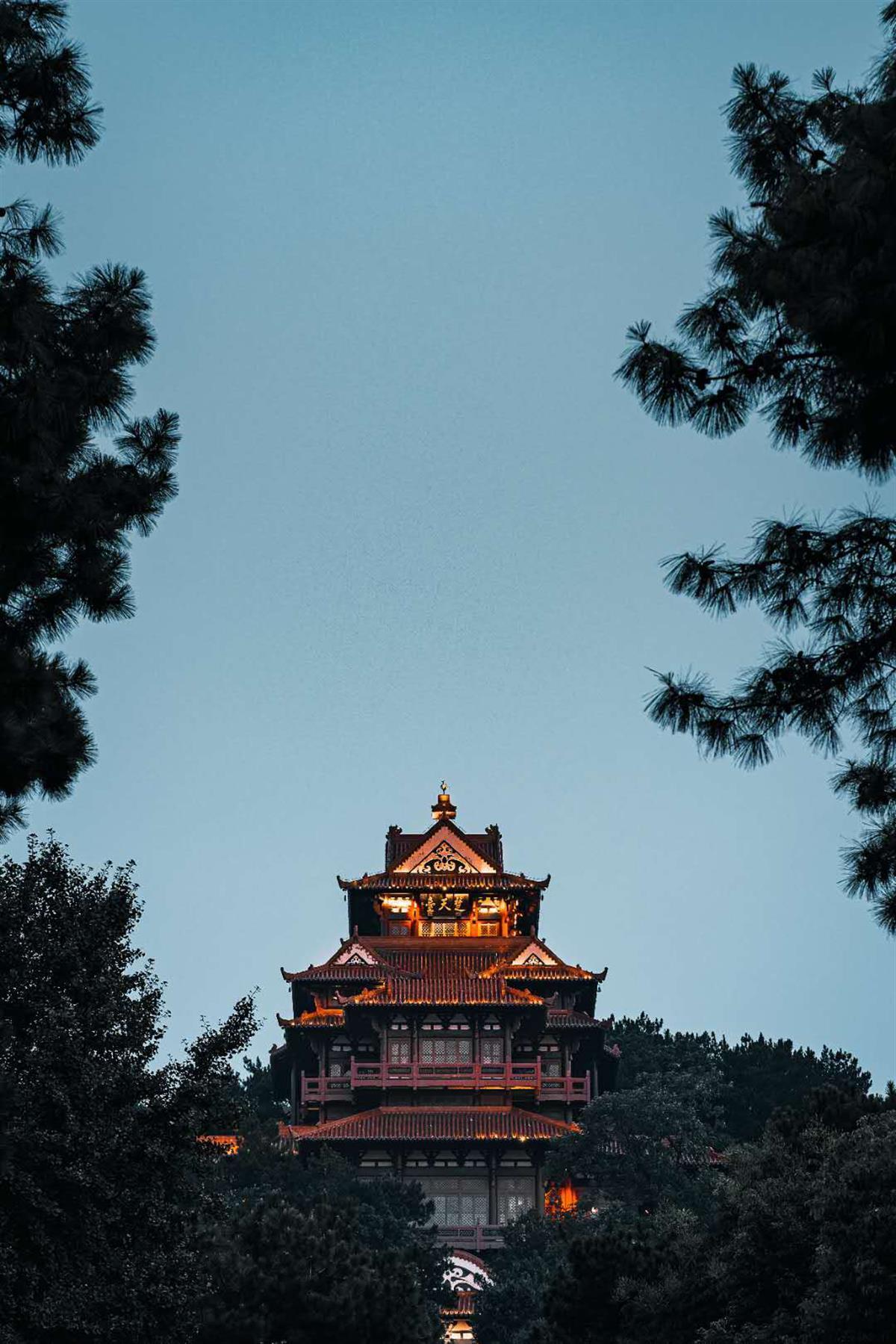 乐虎国际娱乐